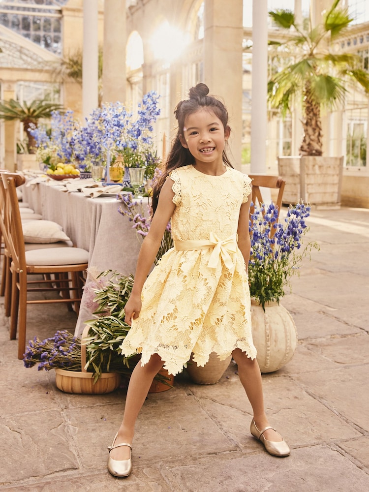 Yellow Lace Occasion Dress (3-16yrs) - Image 1 of 7 Yellow Lace Occasion Dress (3-16yrs) - Image 1 of 7