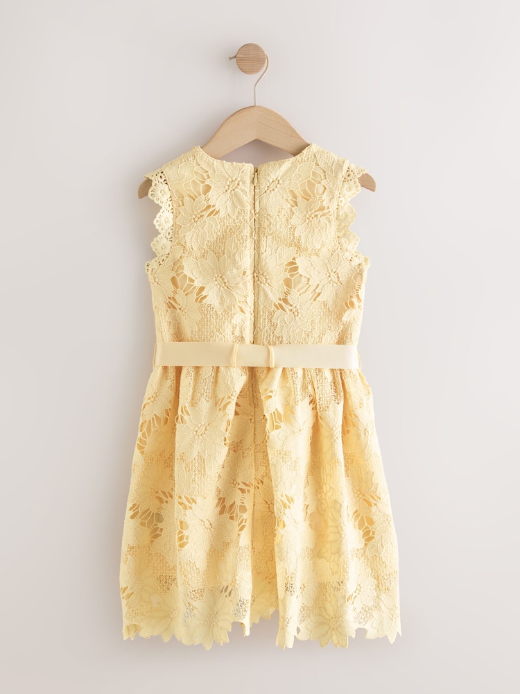 Buy Yellow Lace Occasion Dress (3-16yrs) from Next USA