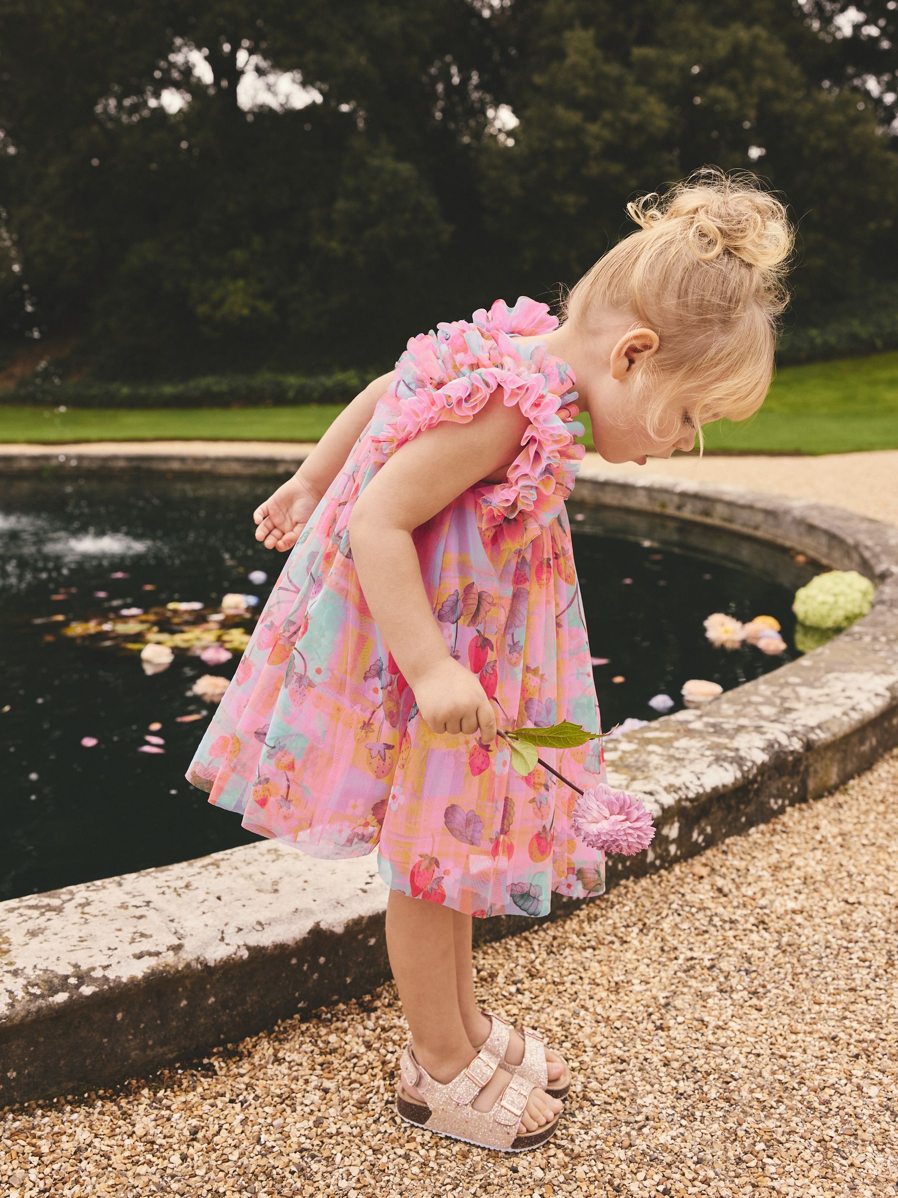 pink mesh ruffle dress Joss Mesh Ruffle Maxi Dress