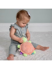 Aurora World Mary Meyer Taggies Tippy Turtle Soft Toy - Image 4 of 6
