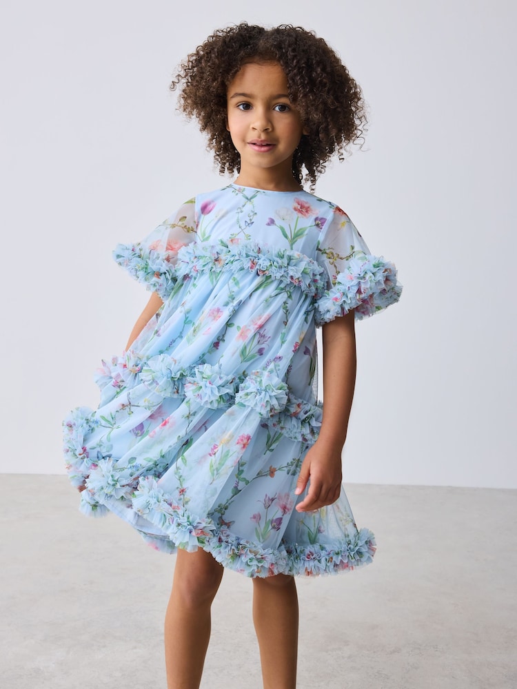 Baker by Ted Baker Blue Floral Ruffle Tiered Mesh Dress - Image 2 of 13