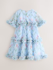 Baker by Ted Baker Blue Floral Ruffle Tiered Mesh Dress - Image 8 of 13
