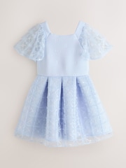 Baker by Ted Baker Mesh Overlay Angel Sleeve Scuba Dress - Image 1 of 5