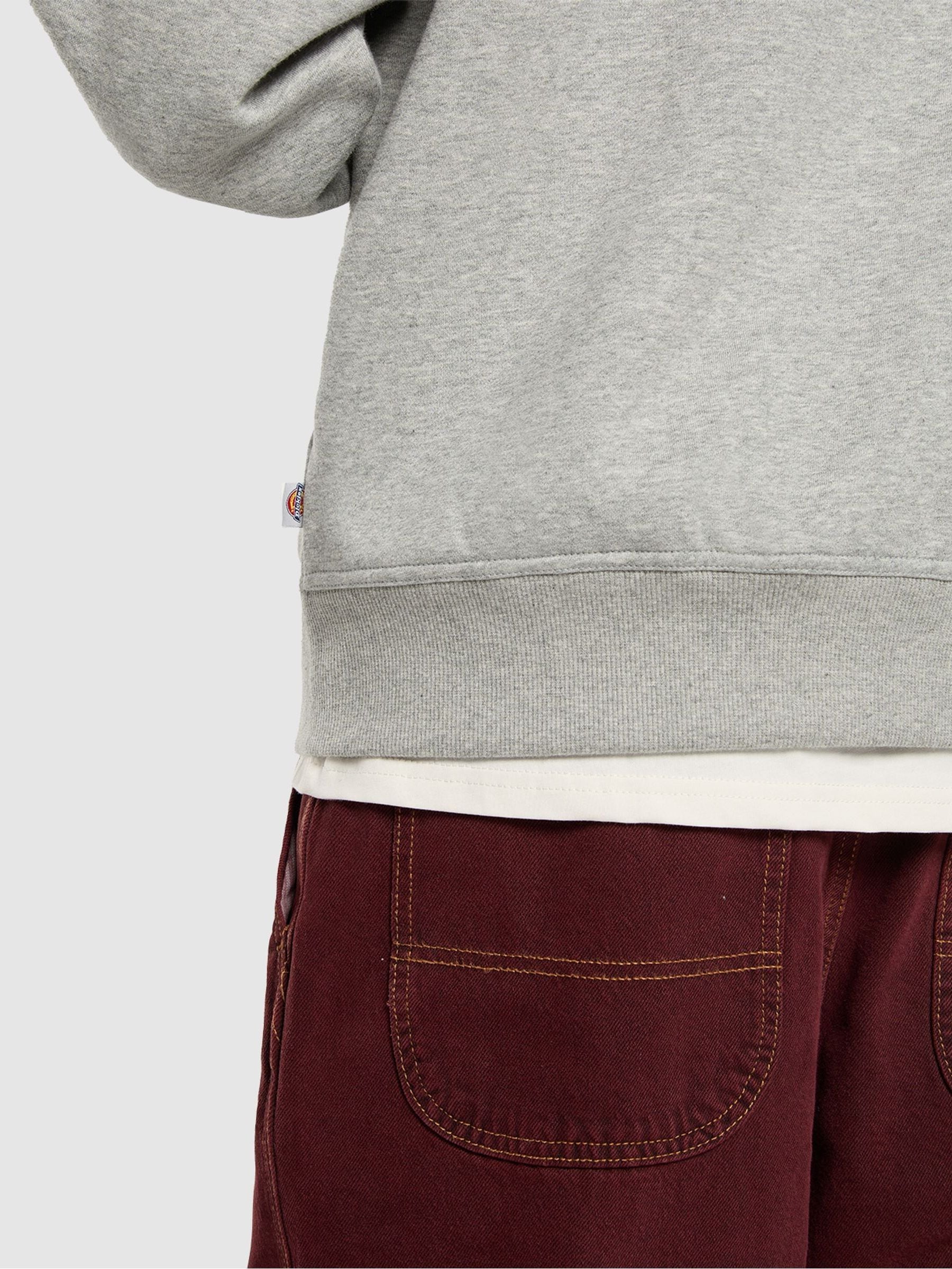 Buy Dickies Grey Bolivar Hoodie from Next USA