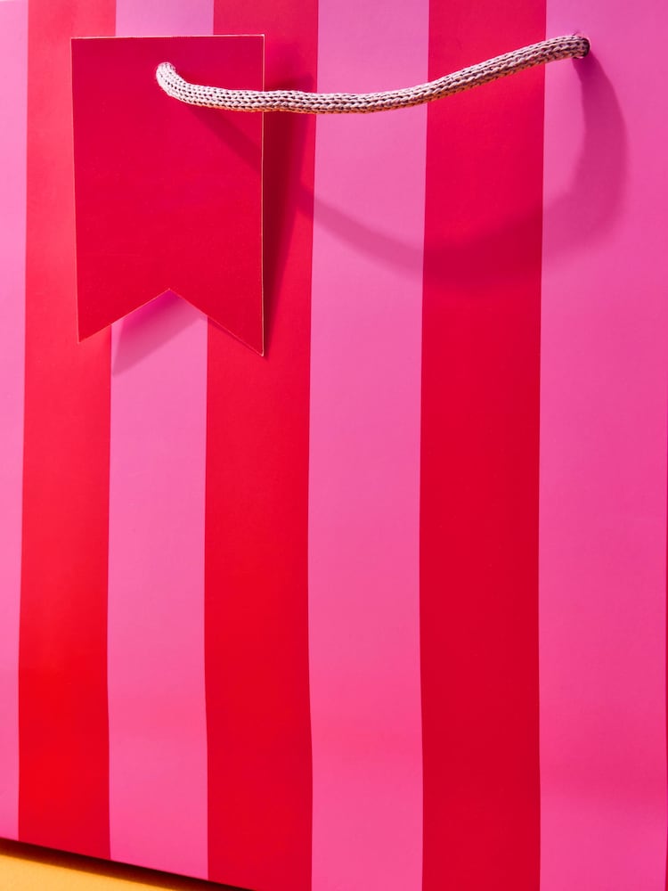 Set of 2 Pink Chunky Striped Medium Gift Bags - Image 2 of 3