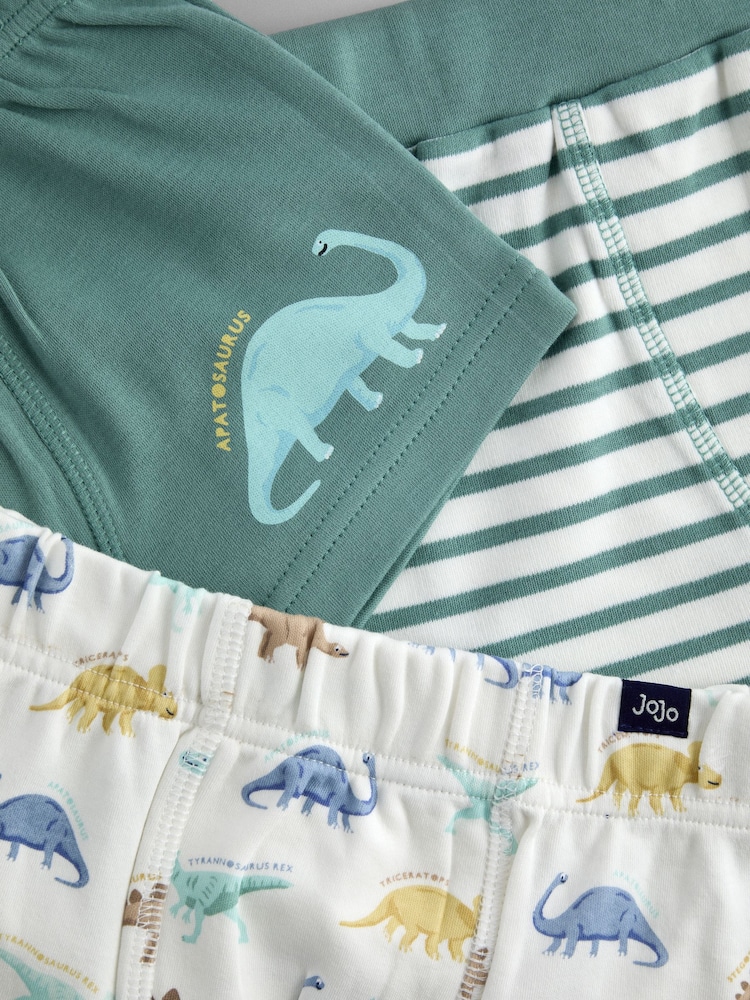 JoJo Maman Bébé Dinosaur 2-Pack Trunks - Image 5 of 5 JoJo Maman Bébé Dinosaur 2-Pack Trunks - Image 5 of 5