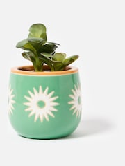 Oliver Bonas Green Small Sun Ceramic Plant Pot - Image 1 of 3