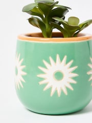 Oliver Bonas Green Small Sun Ceramic Plant Pot - Image 3 of 3