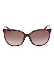 Guess Classic Brown Sunglasses in Dark Havana - Image 1 of 8