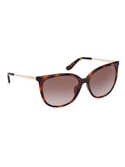 Guess Classic Brown Sunglasses in Dark Havana - Image 5 of 8