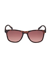 GANT Brown Classic Sunglasses In Dark Havana - Image 1 of 8