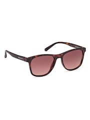 GANT Brown Classic Sunglasses In Dark Havana - Image 2 of 8