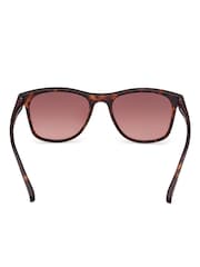 GANT Brown Classic Sunglasses In Dark Havana - Image 6 of 8