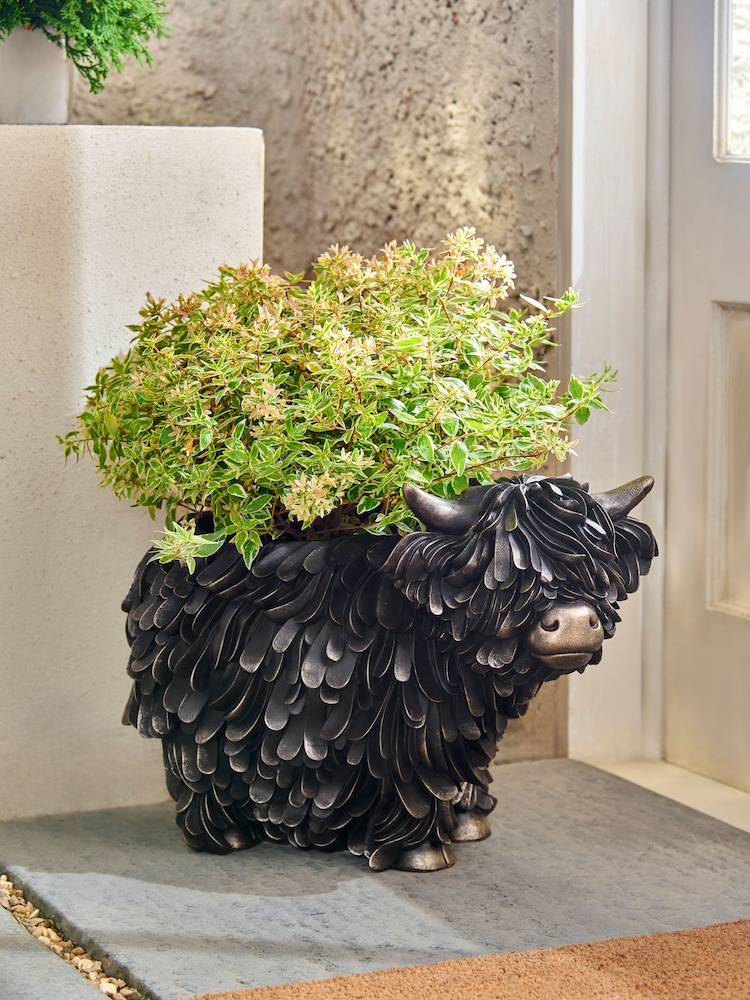 Pot de fleurs vache Hamish the Highland  - Image 1 de 4