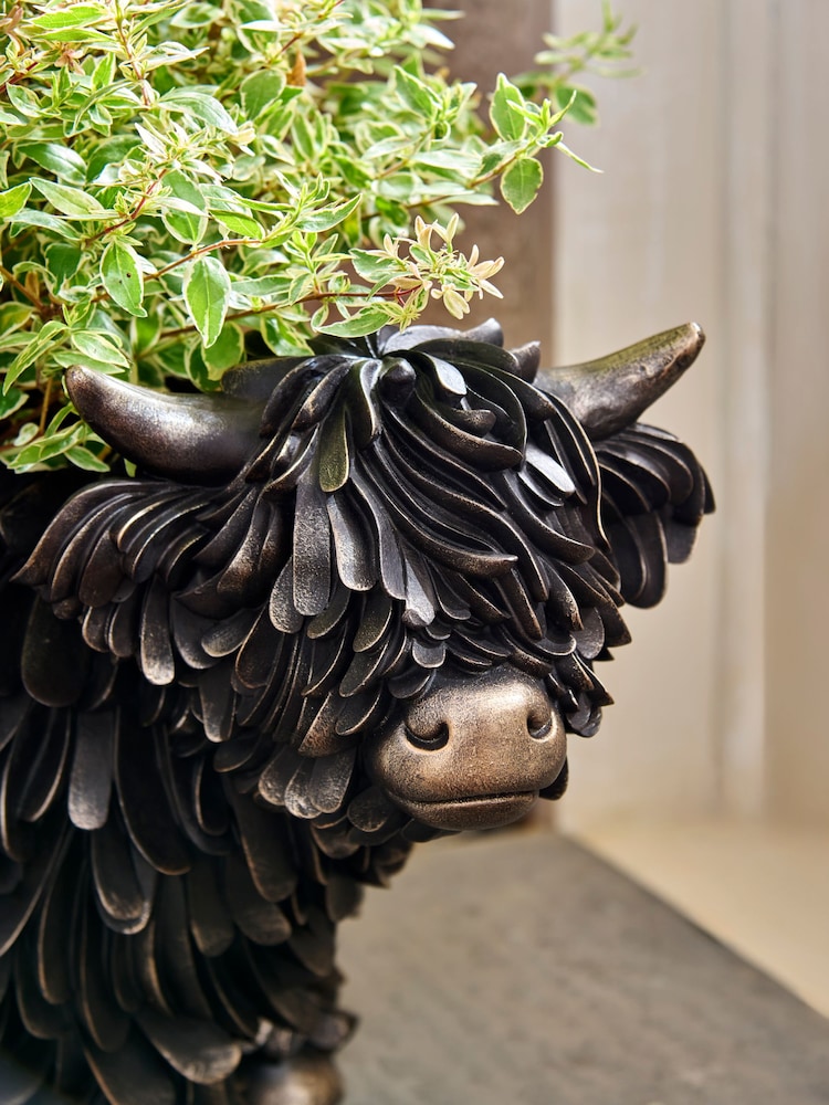 Pot de fleurs vache Hamish the Highland  - Image 2 de 4