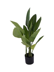 Libra Interiors Green Faux Non Flowering Bird of Paradise 70cm - Image 4 of 6