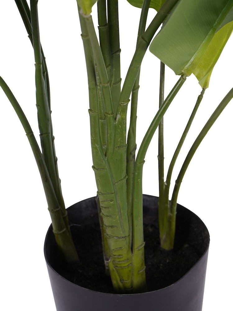 Libra Interiors Green Faux Non Flowering Bird of Paradise 70cm - Image 6 of 6