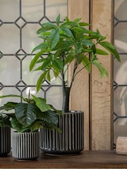 Libra Interiors Green Faux Pachira Money Plant - Image 1 of 6