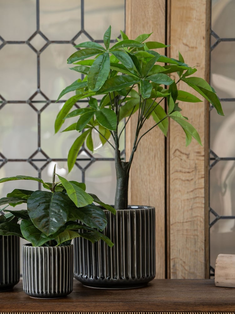 Libra Interiors Green Faux Pachira Money Plant - Image 1 of 6