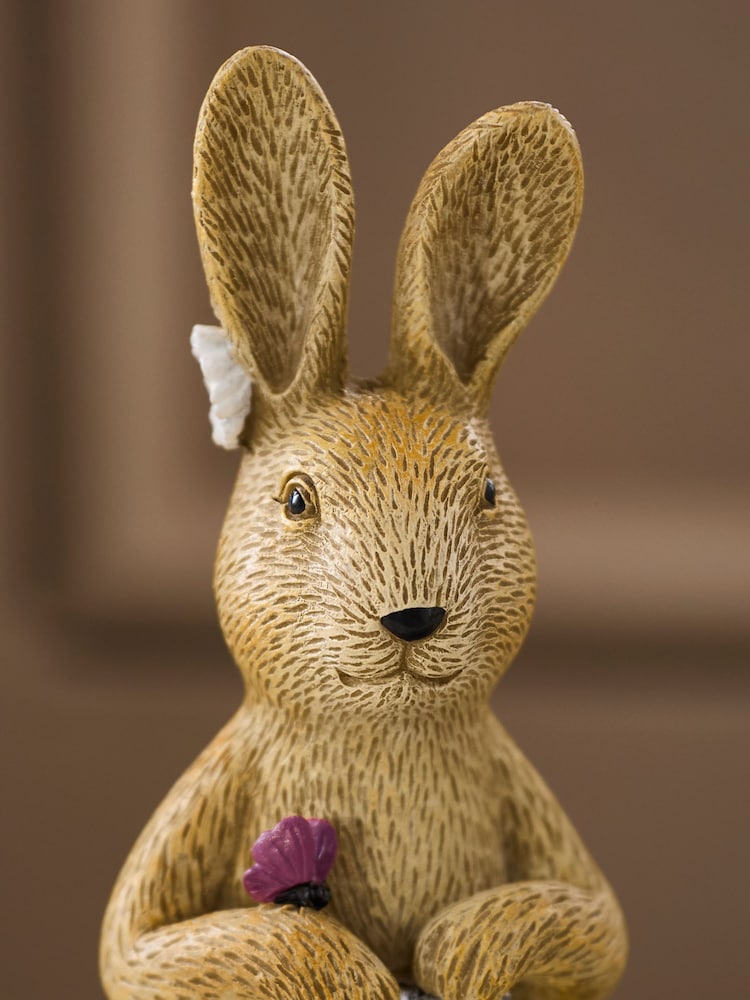 Natural Rosie The Rabbit Gardening Ornament - Image 2 of 3