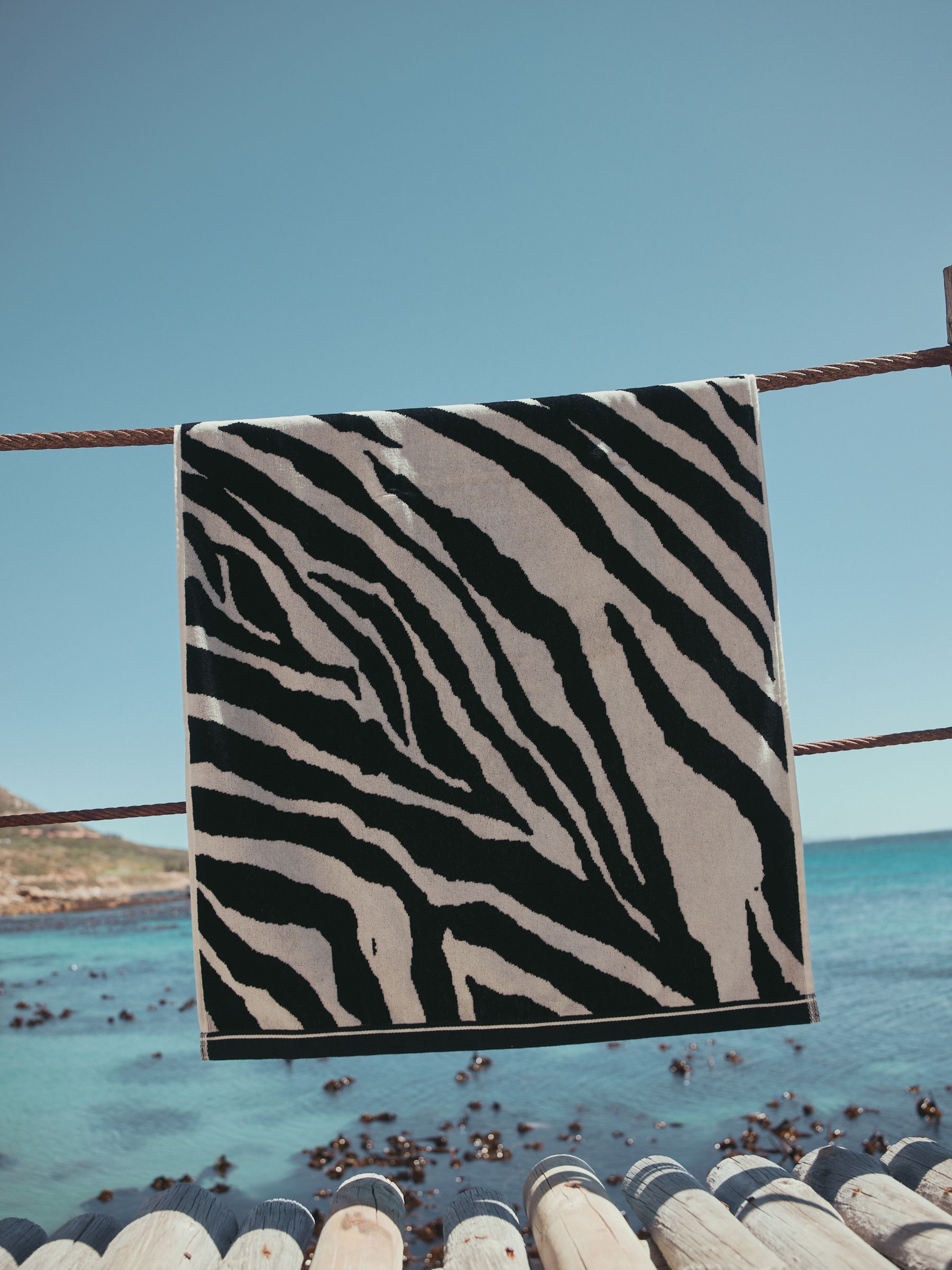 BIRDWEEL タオル　MADE IN USA Buy Zebra Monochrome Beach Towel 100% Cotton from Next USA