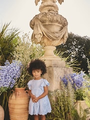 Blue Embroidered Angel Sleeve Dress (3mths-8yrs) - Image 2 of 10