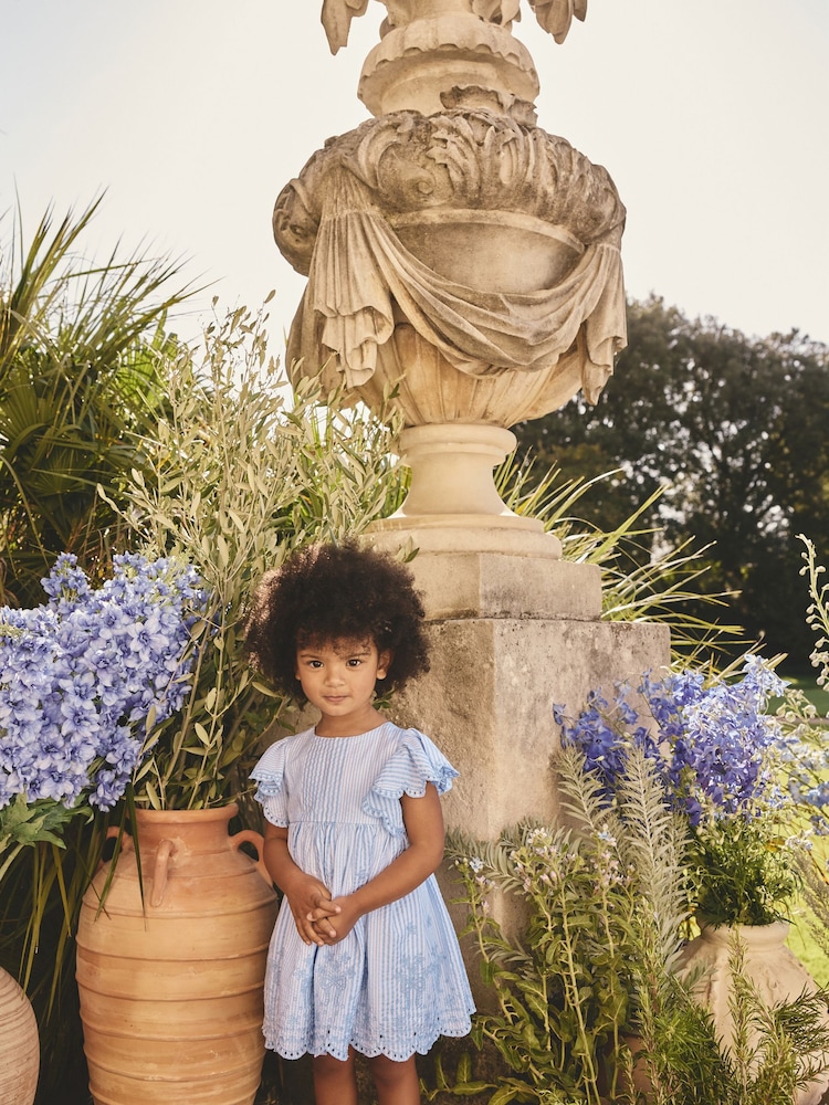 Blue Embroidered Angel Sleeve Dress (3mths-8yrs) - Image 2 of 10