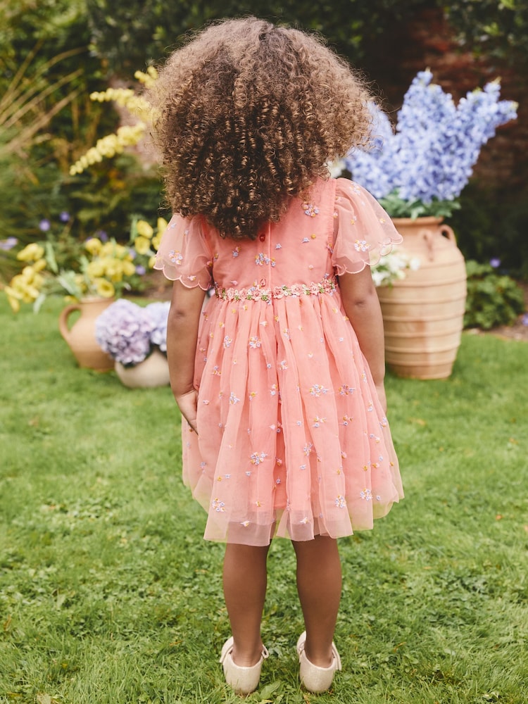 Buy Peach Pink Embroidered Mesh Dress (3mths-8yrs) from Next USA Buy Peach Pink Embroidered Mesh Dress (3mths-8yrs) from Next USA
