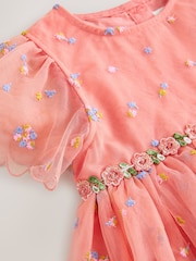 Peach Pink Embroidered Mesh Dress (3mths-8yrs) - Image 7 of 7