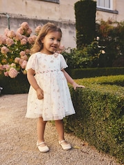 Ivory Embroidered Mesh Dress (3mths-8yrs) - Image 1 of 7