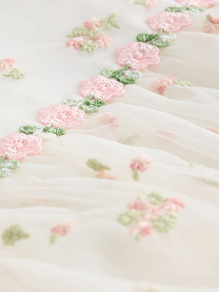 Buy Ivory Embroidered Mesh Dress (3mths-8yrs) from Next China