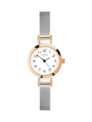 Limit  25mm Womens Round Rose Gold Analogue Watch with Silver Mesh Strap - Image 1 of 4