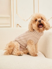 Creme - Suéter canelado brilhante para cães Lipsy - Imagem 1 de 8