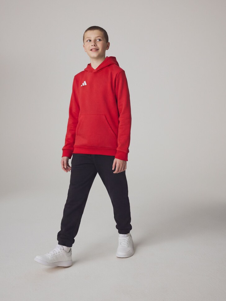 adidas Grey Entrada 26 Hoodie