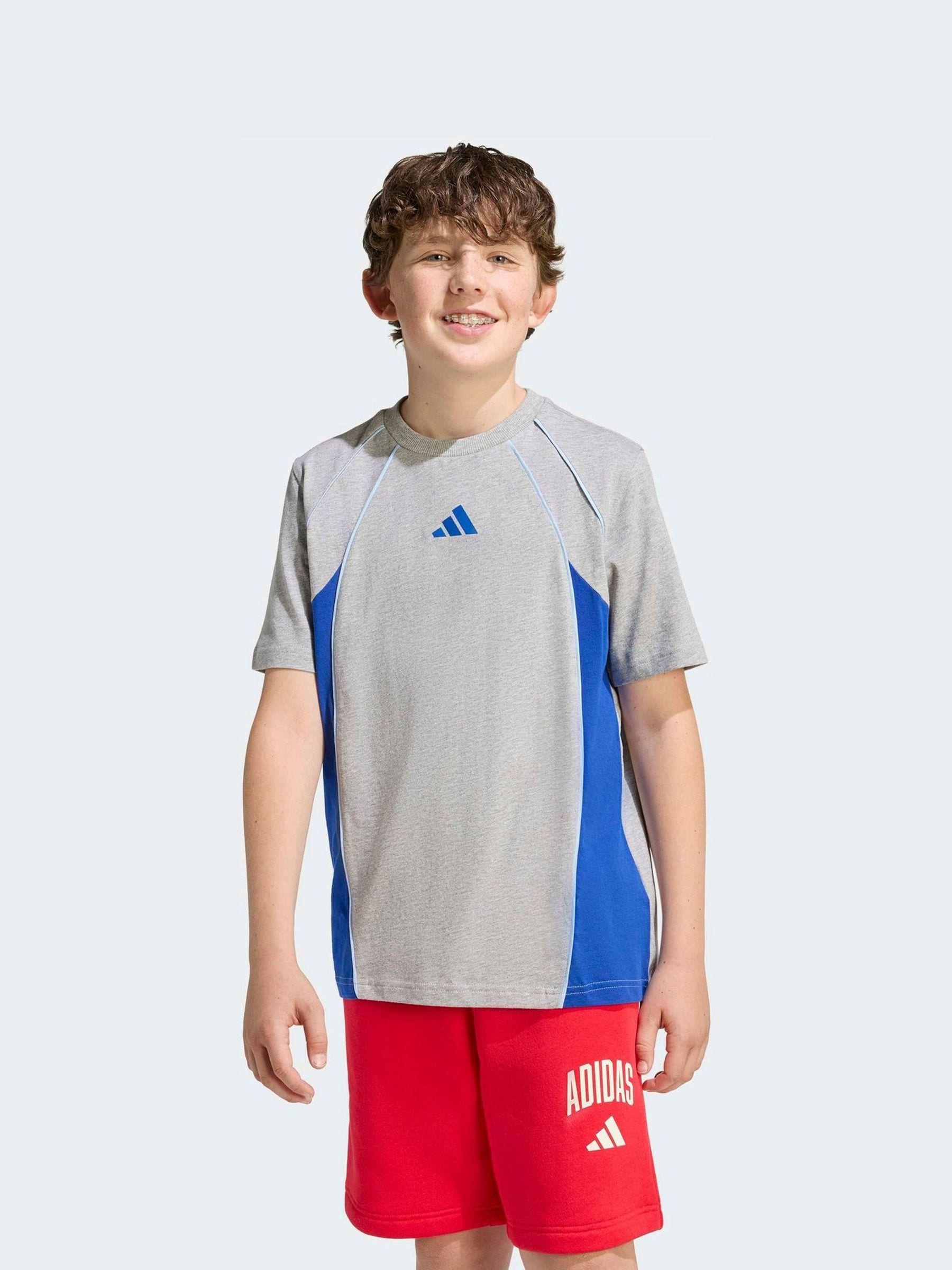 Comprar Cinza - Camiseta adidas Colourblock from Next Brazil