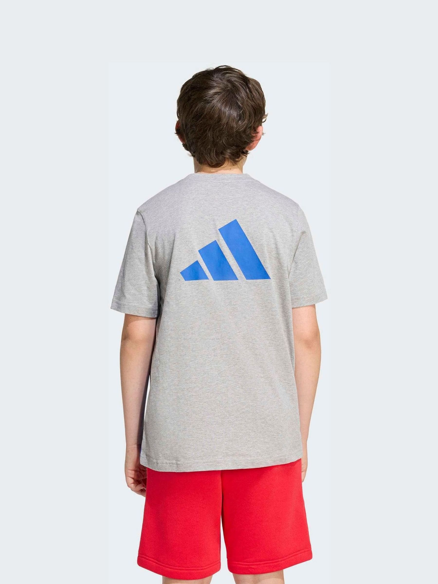 Comprar Cinza - Camiseta adidas Colourblock from Next Brazil