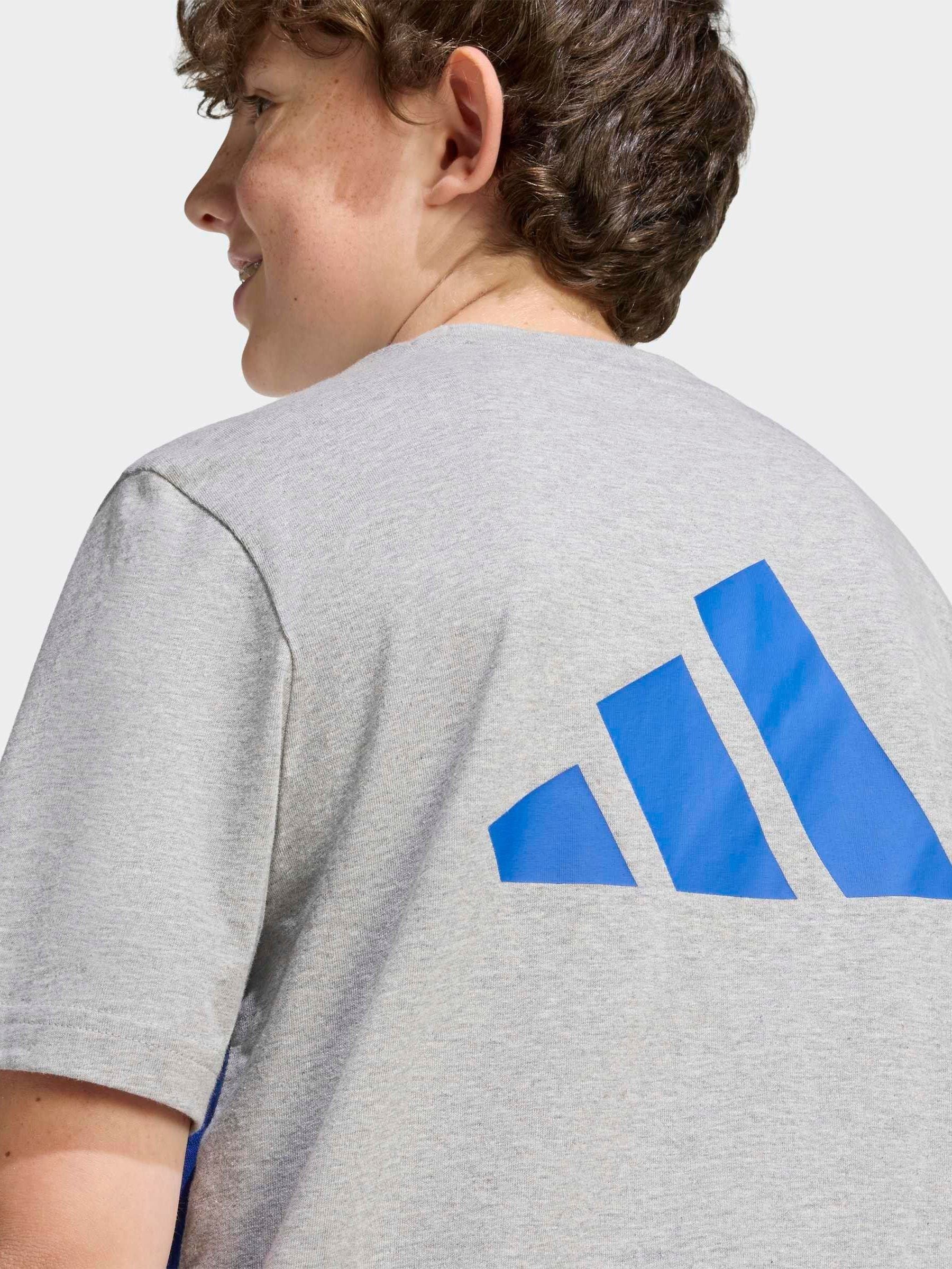 Comprar Cinza - Camiseta adidas Colourblock from Next Brazil