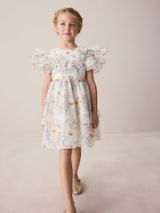 Laura Ashley Multi Alford Meadow Petal Flower Dress - Image 1 of 5