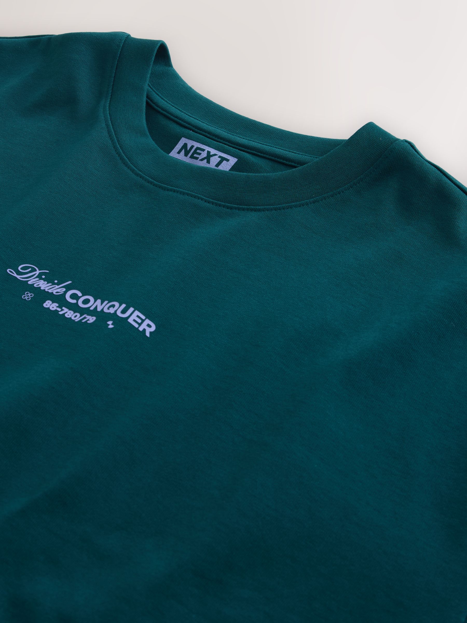 Buy Teal Relaxed Fit Graphic Print Heavy Weight T-Shirt from Next USA