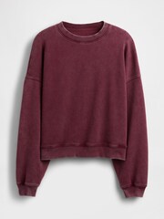 Gap Red Vintage Soft Wedge Crewneck Sweatshirt - Image 1 of 1