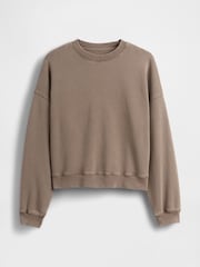 Gap Brown Vintage Soft Wedge Crewneck Sweatshirt - Image 1 of 1