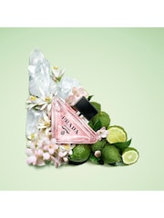 Prada Paradoxe Virtual Flower Spring Gift Set - Image 3 of 5