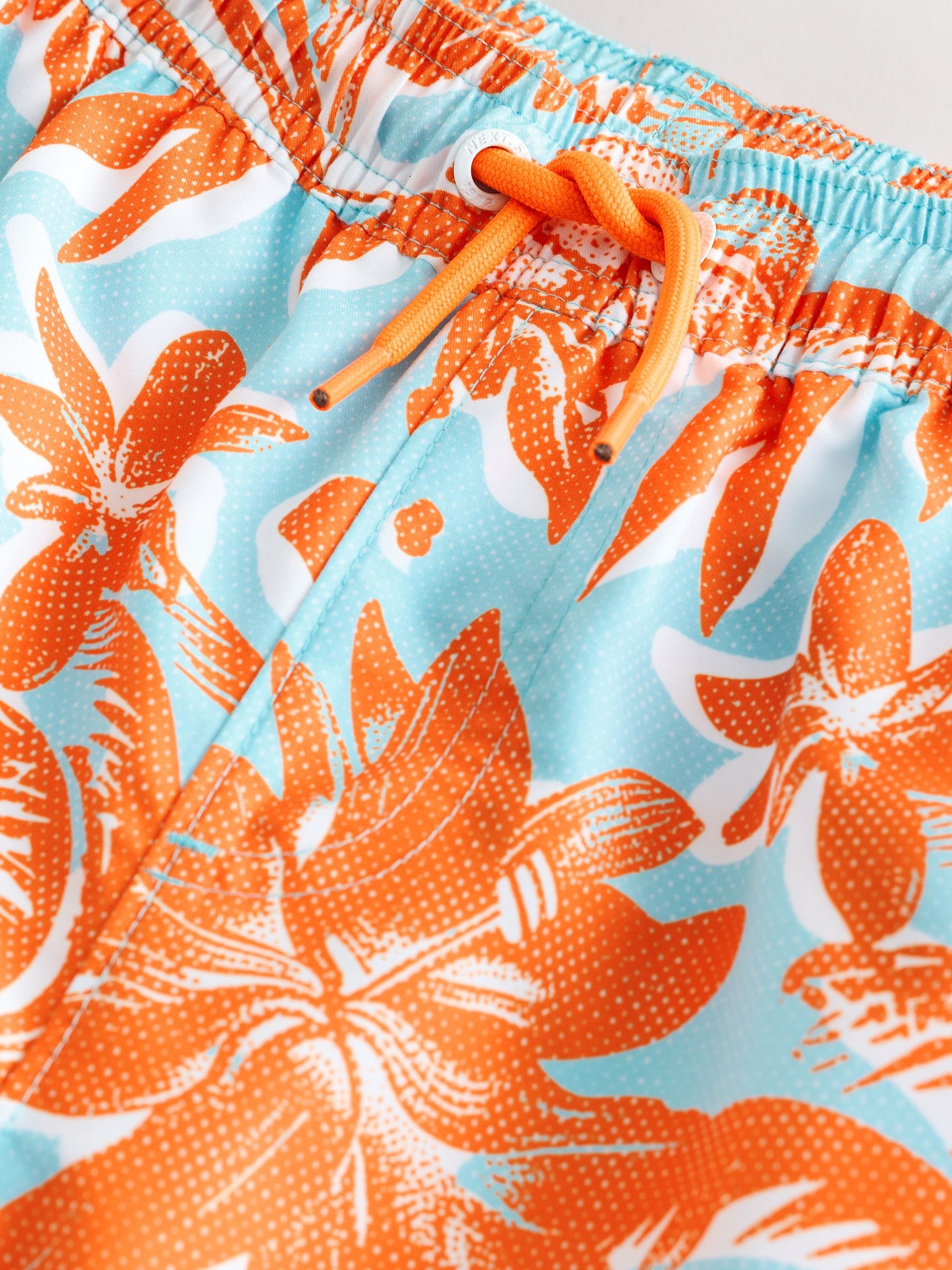 Buy Orange Tropical Printed Swim Shorts (3-16yrs) from Next Jordan