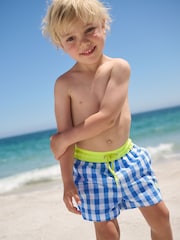 بلیو گنگھم - پرنٹ شدہ تیراکی کے شارٹس (3mths-7yrs) - تصویر 2 از 9