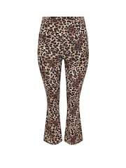 Yours Curve Brown Limited Fold Over Leopard Print Leggings - Image 6 of 6