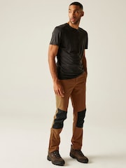Regatta Brown Questra V Stretch Walking Trousers - Image 3 of 7