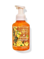 Bath & Body Works Gentle & Clean Foaming Hand Soap - Image 1 of 1