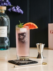 Selbrae House Clear Silver Bee Highball Drinks Set - Image 2 of 3