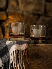 Selbrae House Set of 2 Clear Highland Cow Glass Tumblers - Image 1 of 4