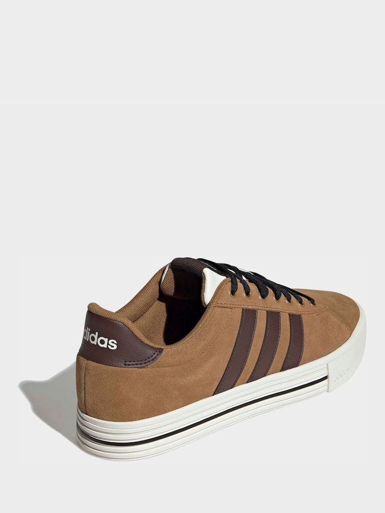 Buy adidas Brown Daily 4.0 Trainers from Next Luxembourg
